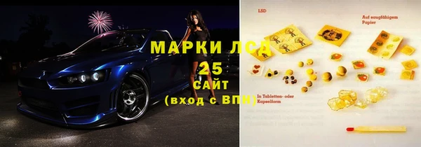 прущие грибы Новодвинск