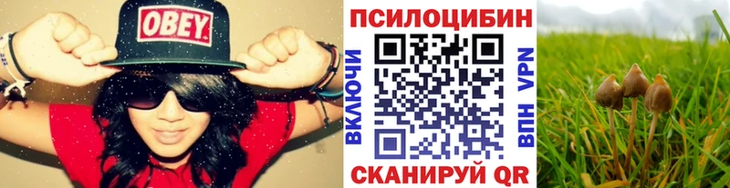 Псилоцибиновые грибы прущие грибы  Пыталово 
